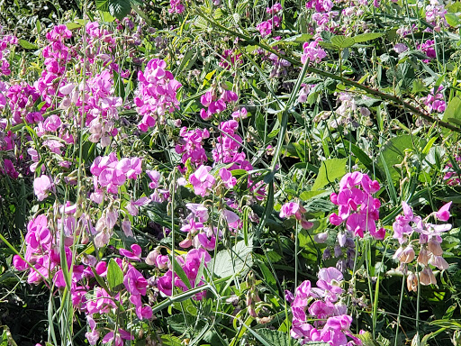 Historical Place «Vista House», reviews and photos, 40700 Historic Columbia River Hwy, Corbett, OR 97019, USA