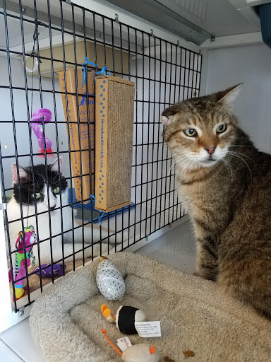 Pet Supply Store «Pet Supplies Plus», reviews and photos, 1258 Northlake Blvd, Lake Park, FL 33403, USA