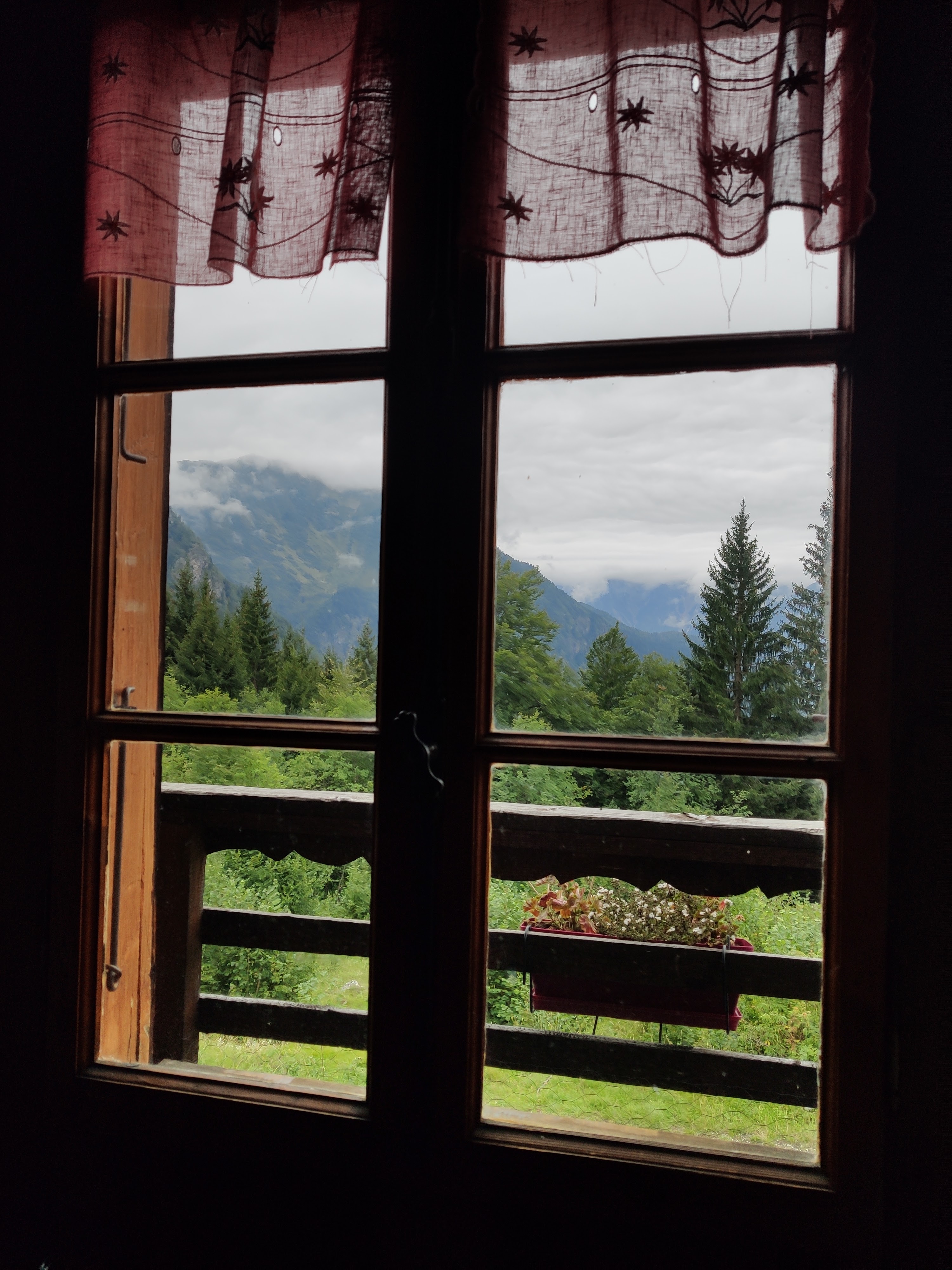 Photo n° 3 de l'avis de Victoria. fait le 08/09/2019 à 11:05