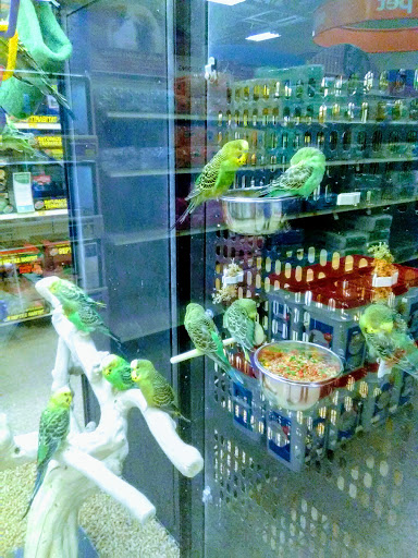 Pet Supply Store «PetSmart», reviews and photos, 316 NE 78th St, Vancouver, WA 98665, USA