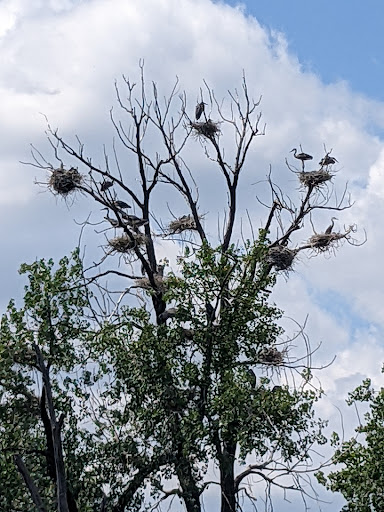 Park «Marshall Terrace Park», reviews and photos, 2740 Marshall St NE, Minneapolis, MN 55418, USA