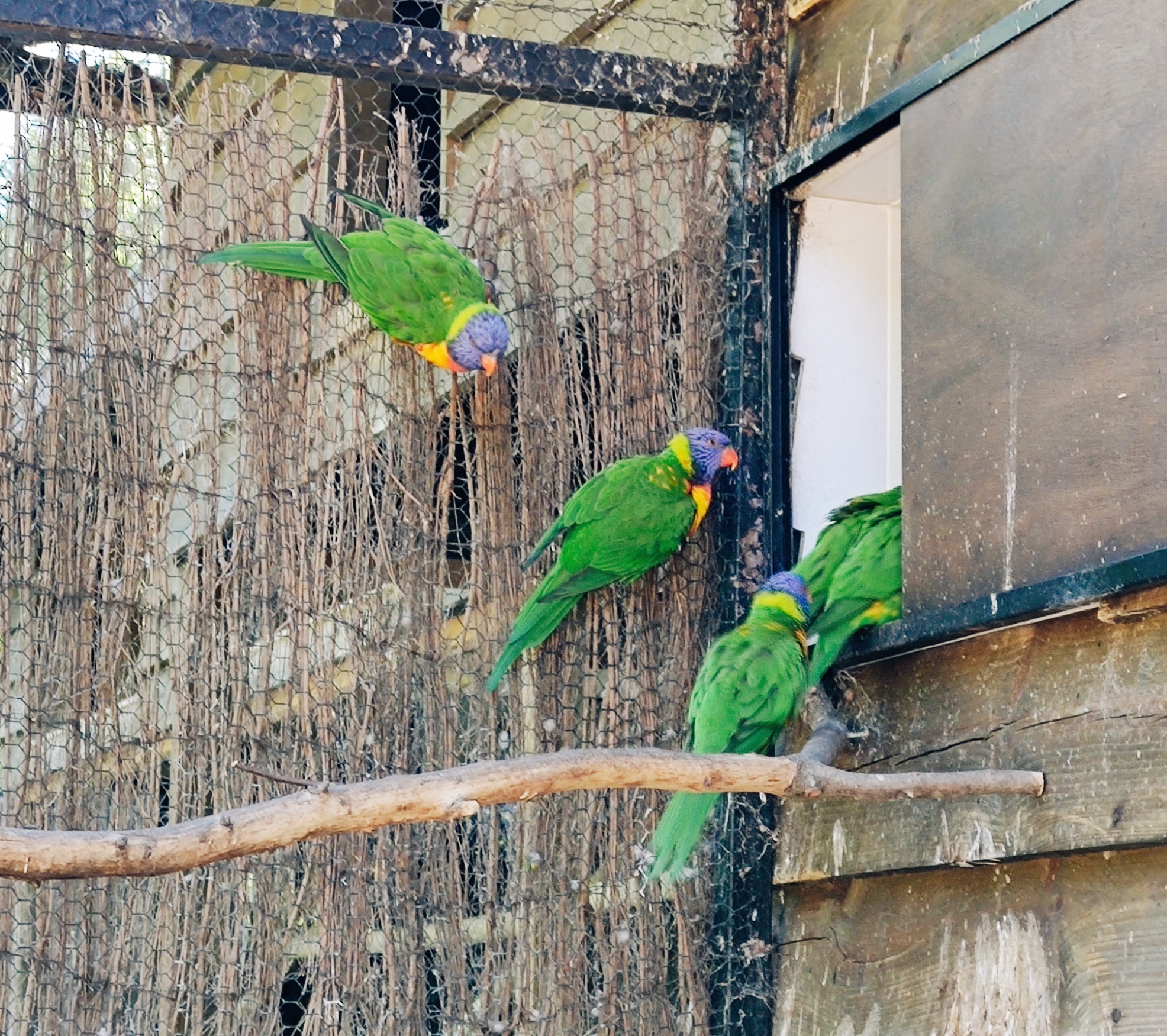 Photo n° 2 de l'avis de Florence.u fait le 06/08/2022 à 18:14