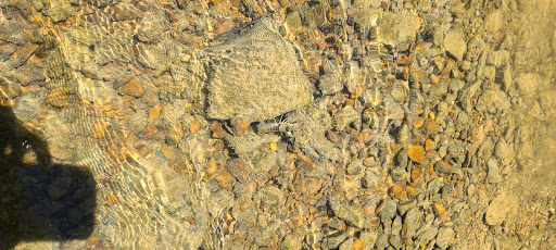 Canoe & Kayak Tour Agency «Cave Country Canoes-Blue River», reviews and photos, 112 W Main St, Milltown, IN 47145, USA