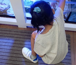 Bali Reef Aquarium photo