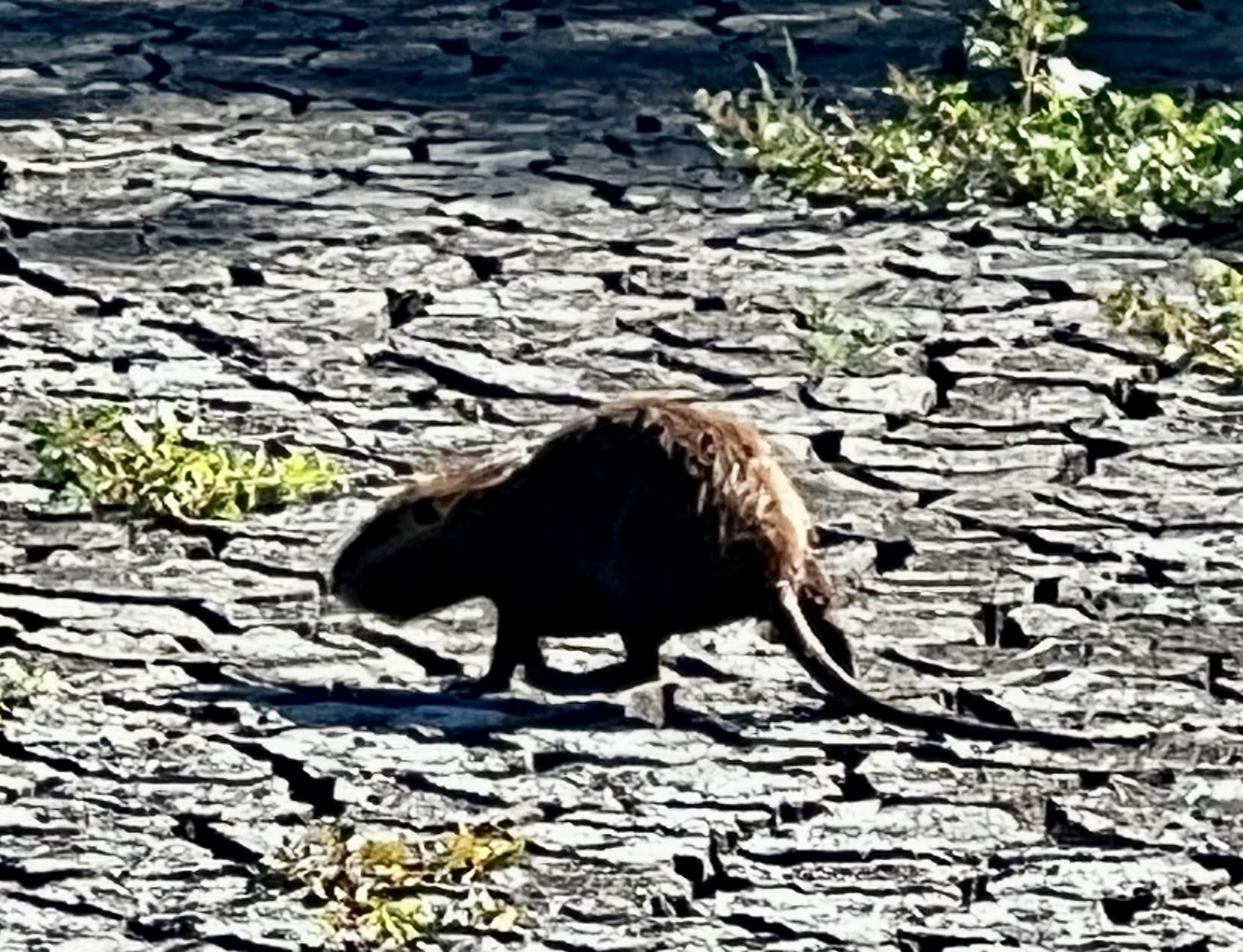Photo n° 20 de l'avis de Jean-yves.o fait le 09/10/2023 à 14:29
