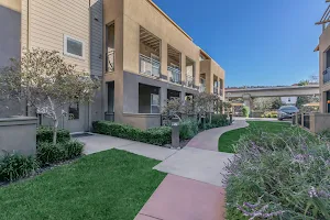 The Village at Town Center Apartments image