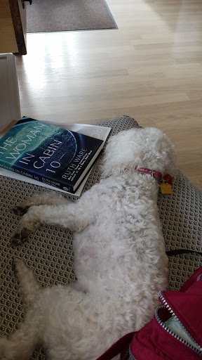 Pet Supply Store «Pet Food Express», reviews and photos, 300 Crossroads Blvd, Carmel-By-The-Sea, CA 93923, USA