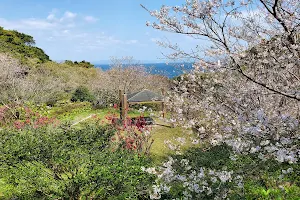 Shikisaki Cape Park image