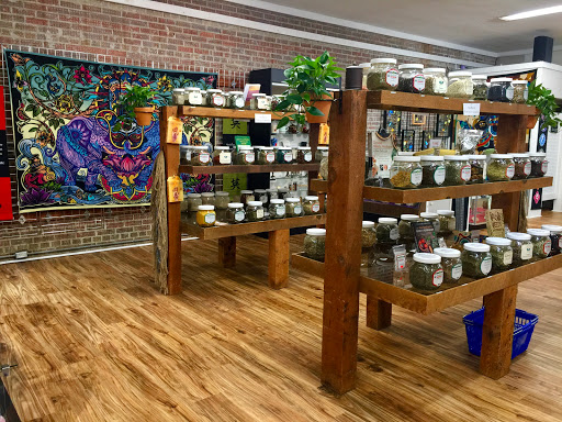 Metaphysical Supply Store «Stone Age: Crystals and Gems», reviews and photos, 2415 N Monroe St, Tallahassee, FL 32303, USA