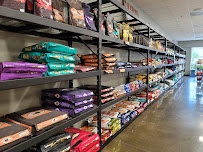 Bentley's Pet Stuff and Grooming & Self-Wash - Photo 5 - Car repair in Pooler, GA, Savannah