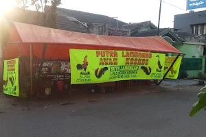 Pecel Lele Putra Lamongan (PLPL) image