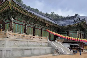 Woljeongsa Temple & Fir Tree Forest image