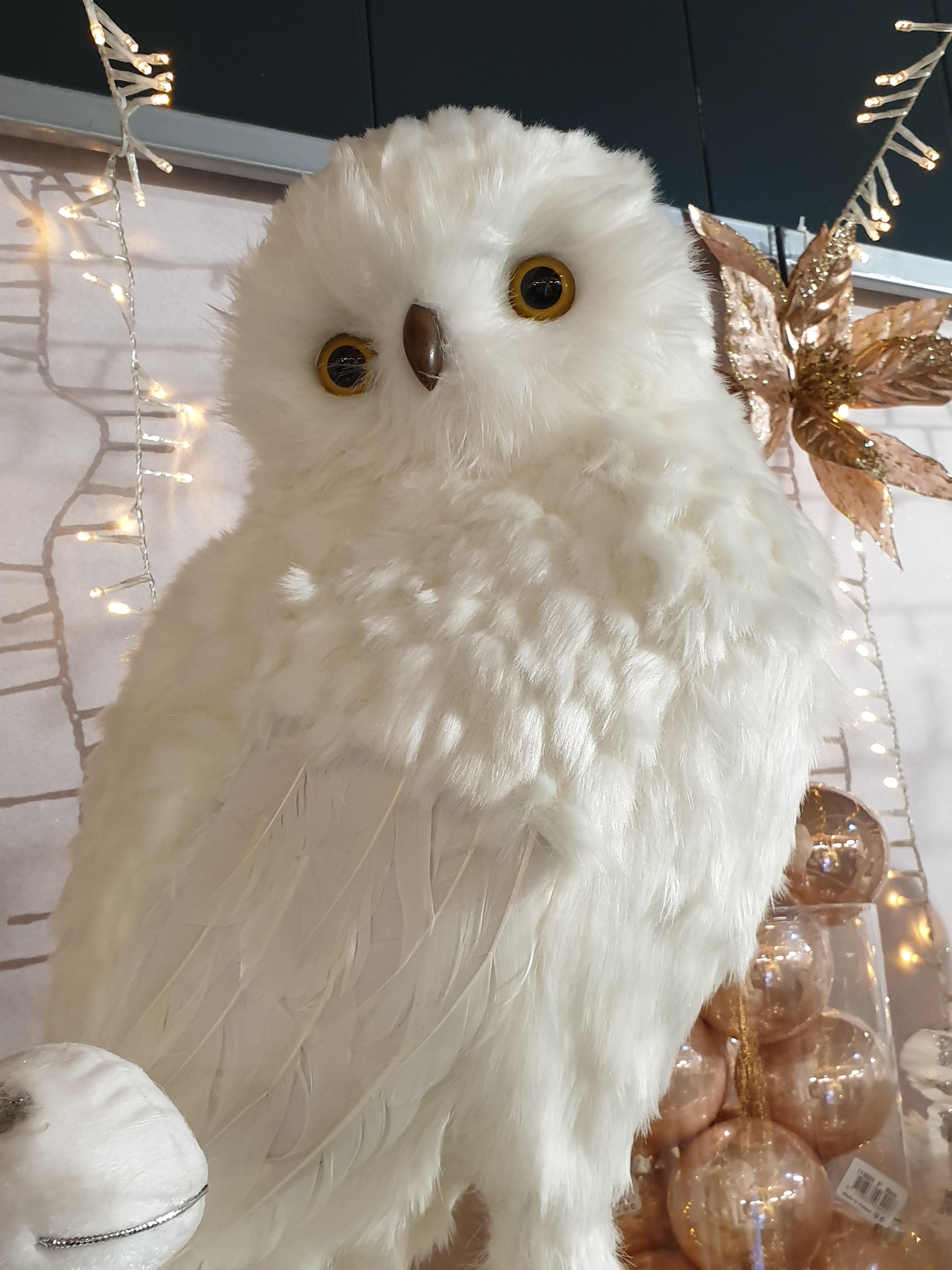 Photo n° 1 de l'avis de Isa.o fait le 15/12/2019 à 17:47