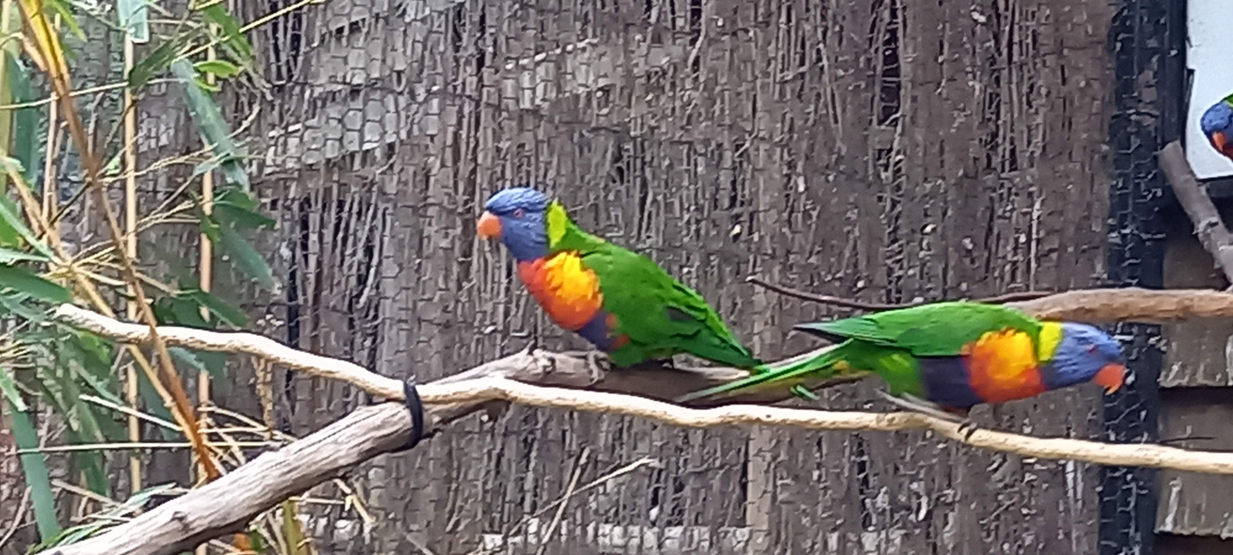 Photo n° 2 de l'avis de theodore.l fait le 27/09/2022 à 09:24