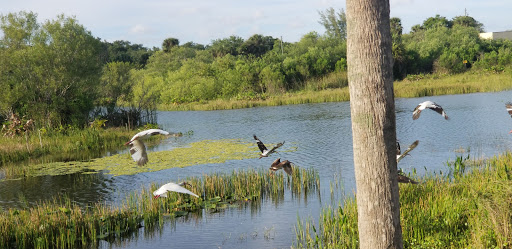 Nature Preserve «Snake Warrior Island Natural Area», reviews and photos, 3600 SW 62nd Ave, Miramar, FL 33023, USA