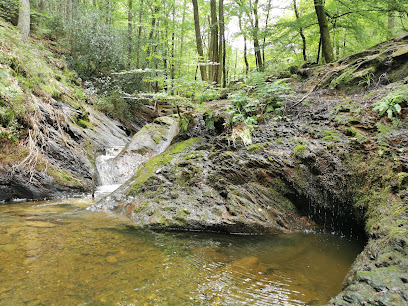 bain du cerf