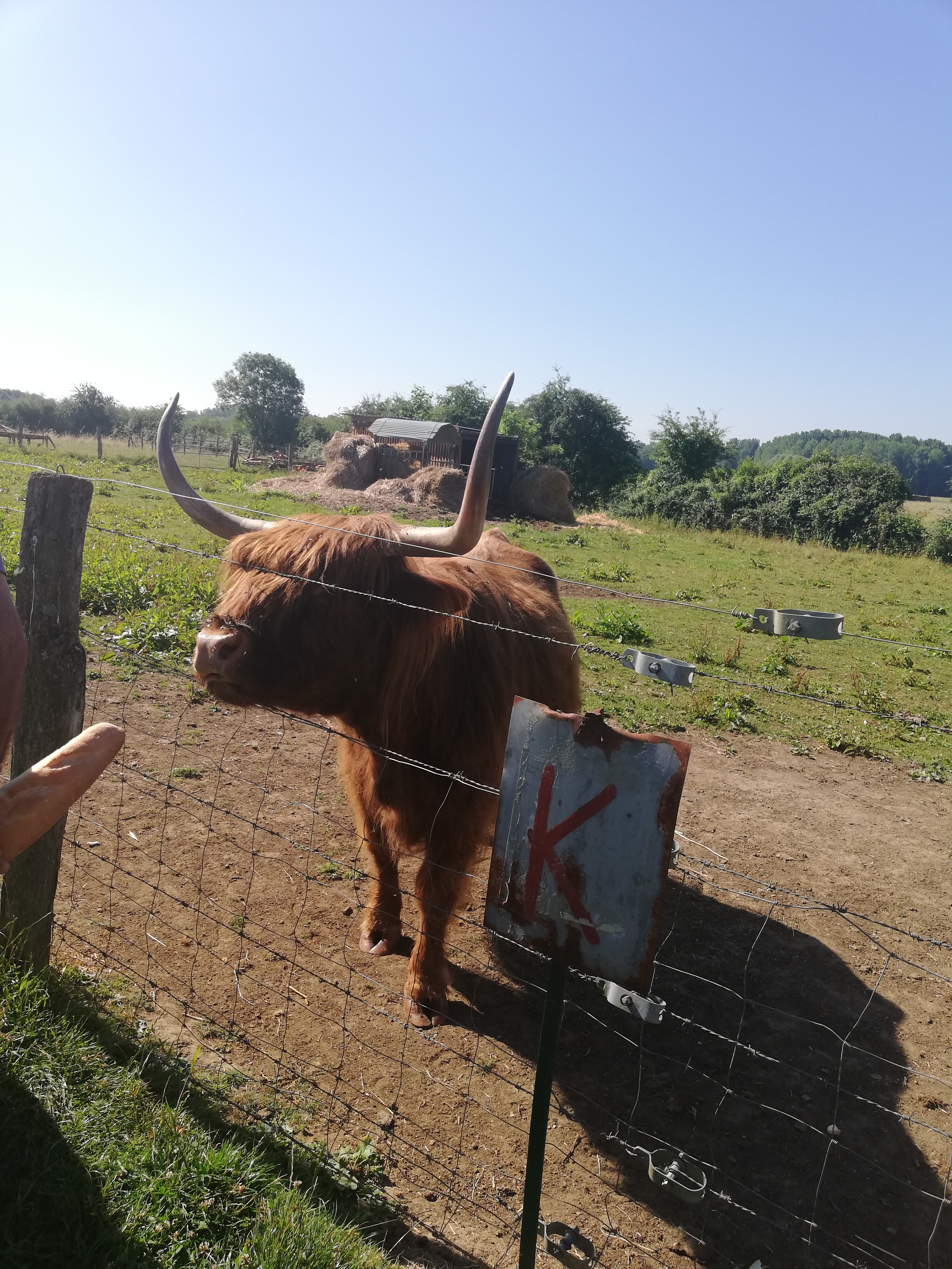 Photo n° 3 de l'avis de fatichagloria.a fait le 26/06/2018 à 14:05