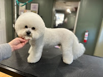 Mosa Pet Spa & Boutique - Photo 4 - Car repair in Cary, NC, Durham