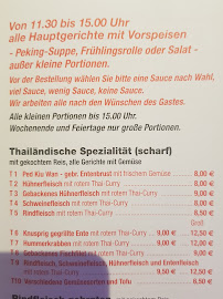 Restaurant chinois Mr. Wok à Diepholz (la carte)