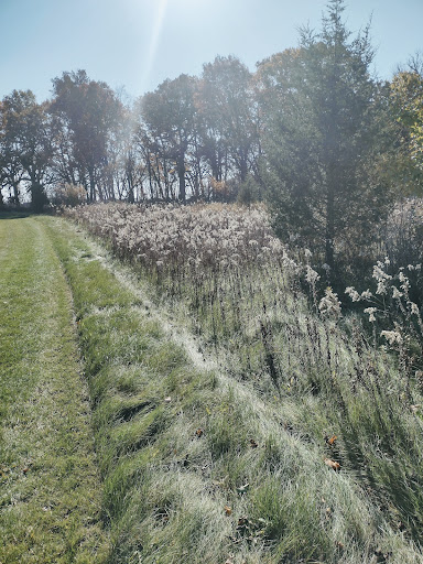 Nature Preserve «Grant Woods Forest Preserve», reviews and photos, 25405 W Monaville Rd, Ingleside, IL 60041, USA