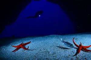 Dive Center Ocean Friends image
