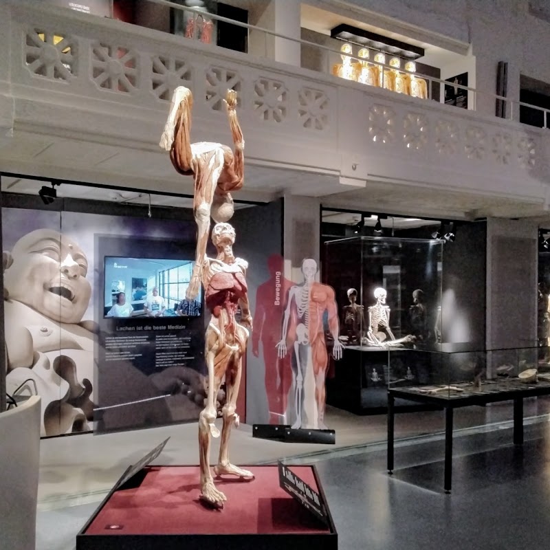 KÖRPERWELTEN Museum "Anatomie des Glücks" | Altes Hallenbad Heidelberg