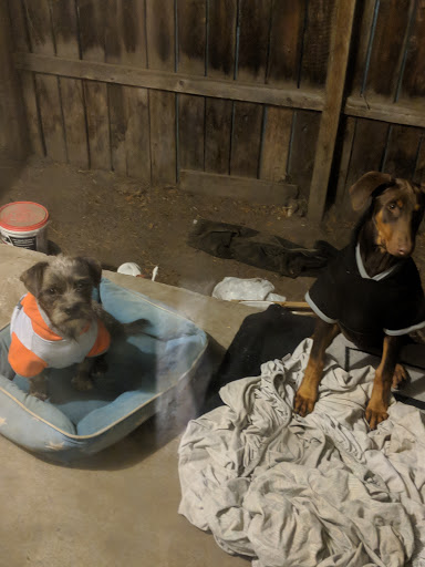 Pet Supply Store «Petco Animal Supplies», reviews and photos, 1201 E Washington Ave, Union Gap, WA 98903, USA