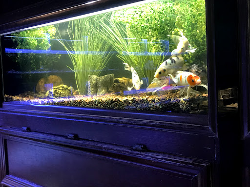 Tropical Fish Store «Beyond the Reef», reviews and photos, 205 W Golf Rd, Schaumburg, IL 60195, USA