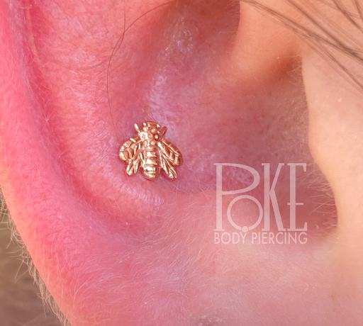 Explore ideas for spine tattoos, creative tattoo ideas in Norman, available at Poke Body Piercing