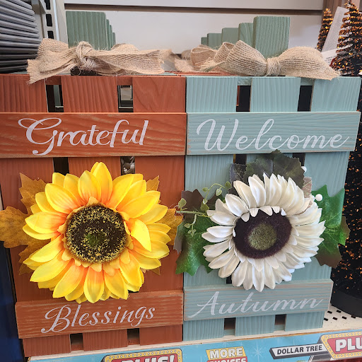 Dollar Store «Dollar Tree», reviews and photos, 2301 Cross Timbers Rd #150, Flower Mound, TX 75028, USA