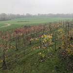 Photo n°3 de l'avis de Alessandro.a fait le 19/11/2020 à 11:18 sur le  Ristorante Campanini à Tortiano