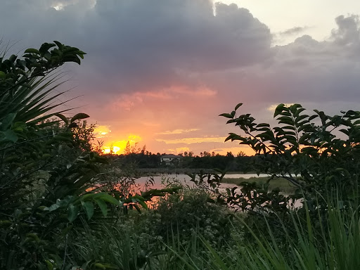 Community Center «Volunteer Park Community Center», reviews and photos, 12050 W Sunrise Blvd, Plantation, FL 33323, USA