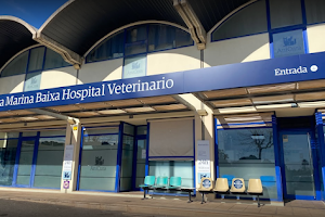 AniCura Marina Baixa Hospital Veterinario | Urgencias 24h image