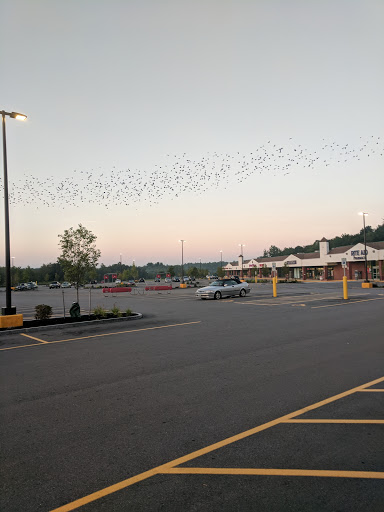 Grocery Store «Market Basket», reviews and photos, 54 Calef Hwy, Lee, NH 03861, USA