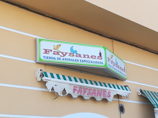 Faysanes en La Unión, Las Palmas