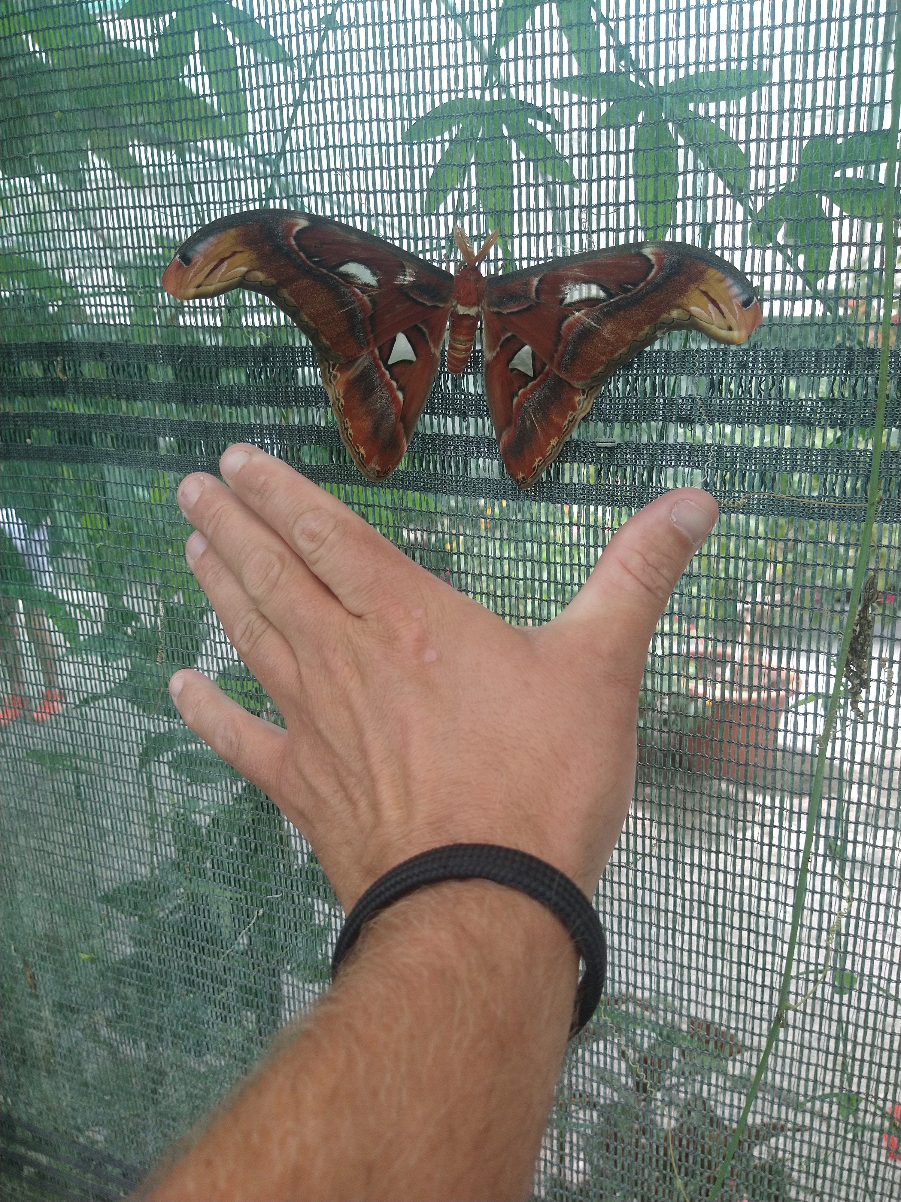Photo n° 2 de l'avis de Harrie.j fait le 30/07/2020 à 13:00