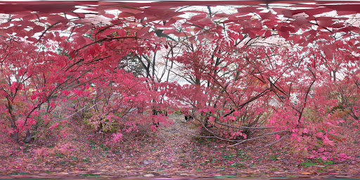 Nature Preserve «Kishwauketoe Nature Conservancy», reviews and photos, 251 Elkhorn Rd, Williams Bay, WI 53191, USA