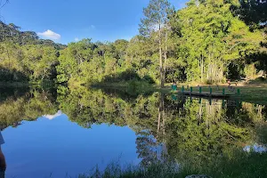 Lago das Carpas image