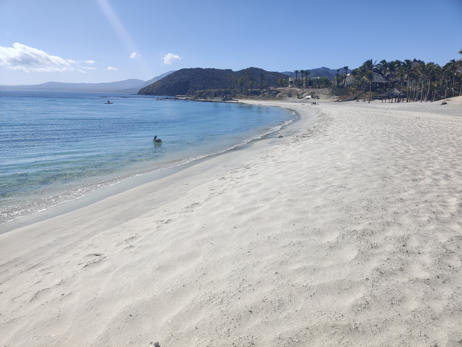 Playa de Los Muertos'in fotoğrafı çok temiz temizlik seviyesi ile