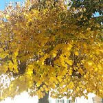Photo n°9 de l'avis de Lorenzo.o fait le 27/11/2019 à 22:07 sur le  Restaurant Bar Piazzetta à Orta San Giulio