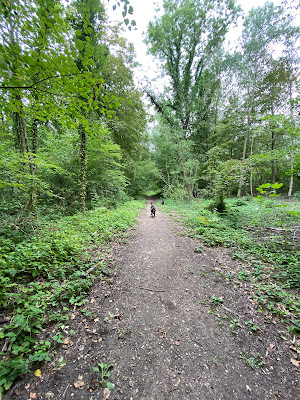 Forêt domaniale de L'Isle Adam à L'Isle-Adam