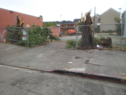 Non-Profit Organization «St. Vincent de Paul Society», reviews and photos