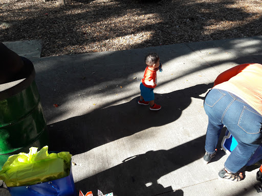 Park «Davis Park», reviews and photos, 612 N Parsons Ave, Brandon, FL 33510, USA