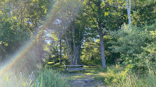 Park «Sweets Knoll State Park», reviews and photos, 1387 Somerset Ave, Dighton, MA 02715, USA