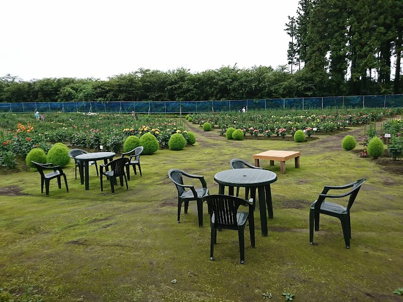 ひばり野ダリア園