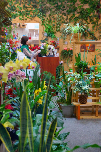 Florist «Joy Flower Shop», reviews and photos, 7630 Fair Oaks Blvd, Carmichael, CA 95608, USA