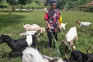 Rembau Goat Farm image