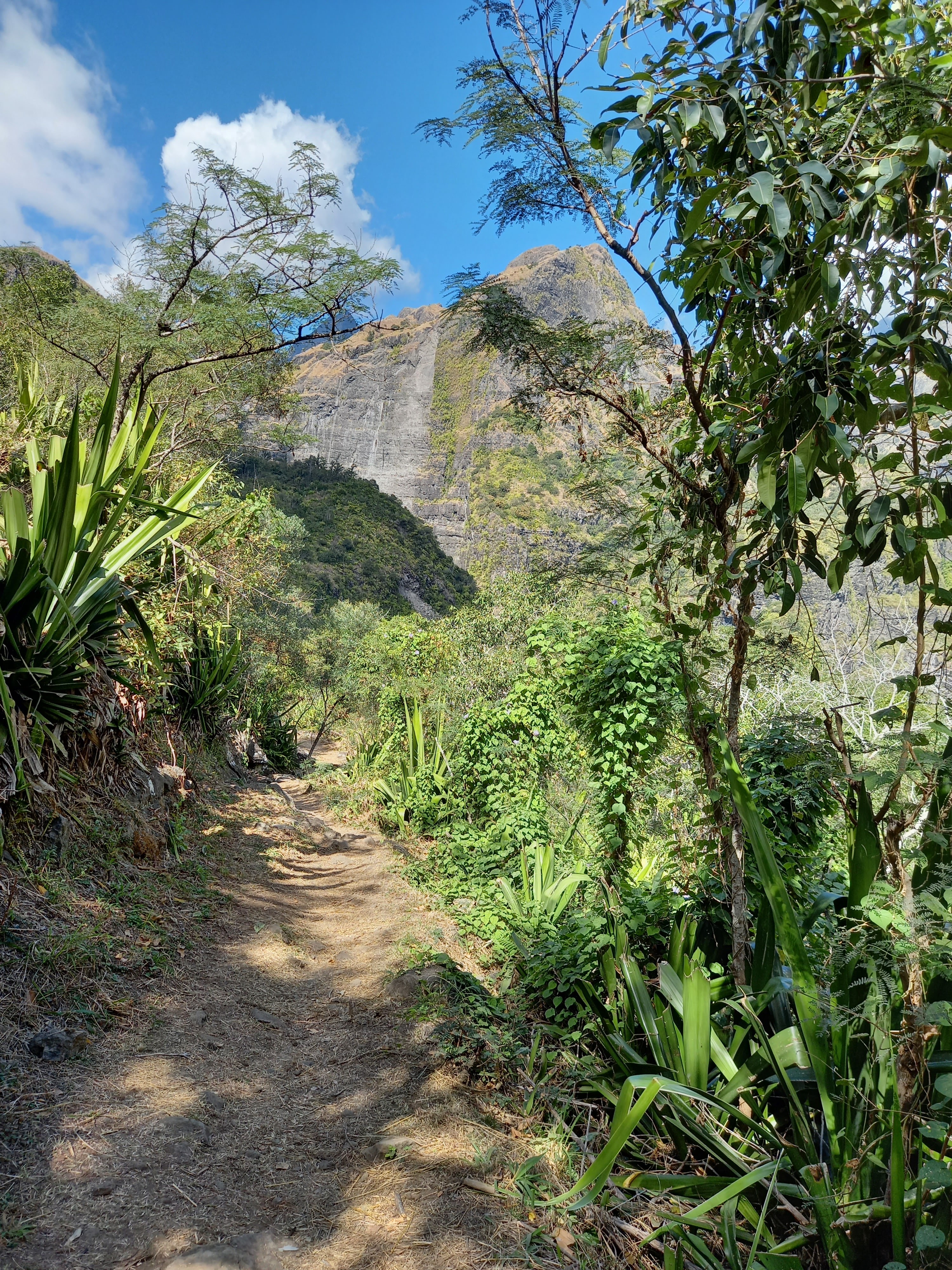 Photo n° 17 de l'avis de Godard.e fait le 12/08/2022 à 15:54
