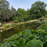 Photo n°2 de l'avis de Sa.a fait le 01/07/2022 à 13:32 sur le  Restaurant Ahnepark à Vellmar