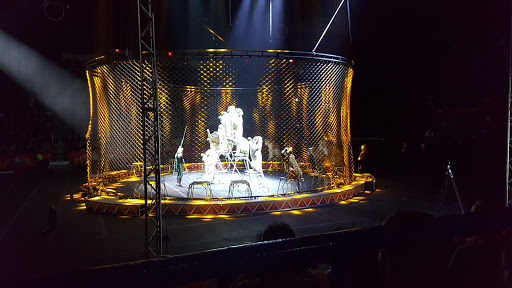 Event Venue «XL Center», reviews and photos, 1 Civic Center Plaza, Hartford, CT 06103, USA